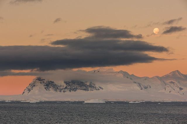 099 Antarctica, Cuverville Island.jpg